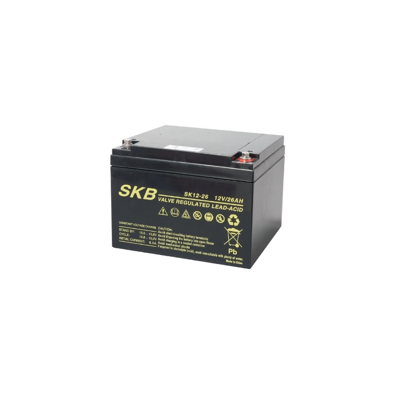 D1226 12V 26Ah DISCOVER Batteria Ricaricabile al Piombo