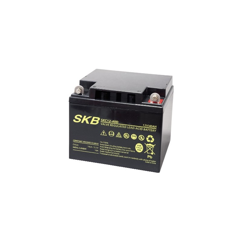 D1240 12V 40Ah DISCOVER Batteria Ricaricabile al Piombo