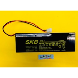 BEGHELLI 6V 4Ah SLIM Batteria al Piombo SKB con connettore