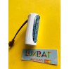 AGIE CHARMILLES CR17450SE-R 3V 2,5Ah FDK Batteria al Litio per PLC-CNC