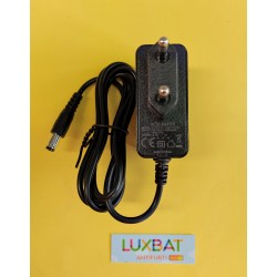 Caricabatterie per Litio Ferro Fosfato (Li-FePo4) 1S 3,6V 1A