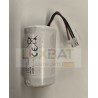 Batteria LS33600 3,6V 17Ah per contatori Gas smart