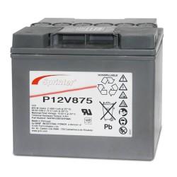 EXIDE Sprinter P12V875 12V 41Ah (C10) Batteria al piombo per UPS