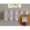 ABB DOMUS 4LR20 + 1ER34615M 6V+3,6V 14Ah Pacco batteria Alkalino + Litio con connettore ABB DOMUS TECH