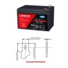 LDC12-12 LUMINOR  12V 12Ah (C20) Batteria al Piombo AGM DEEP CYCLE Terminali F2