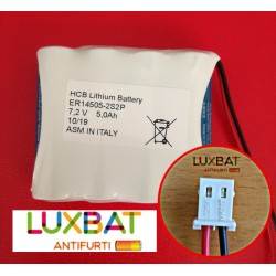 ER14505-2S2P 7,2V 5Ah Batteria al Litio HCB con connettore MOLEX