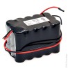 Batteria ricaricabile Ni-Cd 18V 700mAh ARTS 15VRE AA per porte Automatiche BESAM