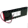 Batteria Ricaricabile 12V 700mAh Ni-Cd ARTS per Porte Automatiche MICOM ALL