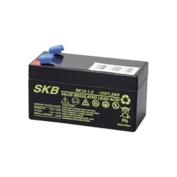 SK12-1,3 12V 1,3Ah SKB Batteria Ricaricabile al Piombo