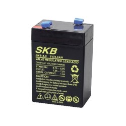 D644 6V 4,2Ah DISCOVER Batteria al Piombo