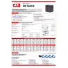 CSB HR1221W F2 12V 5Ah Batteria Ricaricabile al piombo per UPS